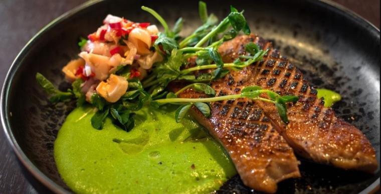 fusion gerecht